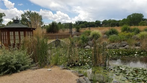 A serene pond surrounded by tall grasses and rocks, with a gazebo in the background under a cloudy sky.