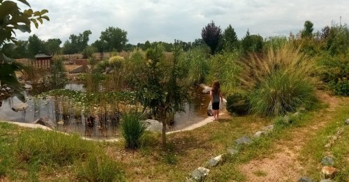 A child walks along a path by a serene pond surrounded by lush greenery and tall grasses.