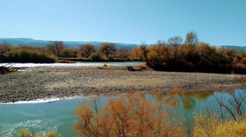 A serene river scene with trees and shrubs along the banks, under a clear blue sky.