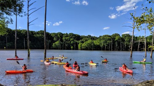 A group of people kayaking on a calm lake surrounded by trees under a clear blue sky.