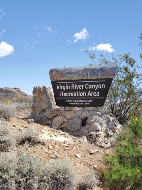 Sign for Virgin River Canyon Recreation Area, surrounded by desert vegetation and rocky terrain under a blue sky.