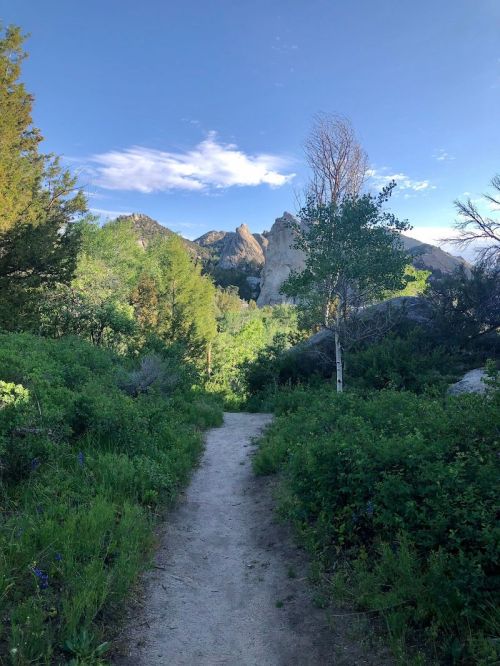 A winding dirt path through lush greenery, leading towards rocky mountains under a clear blue sky.