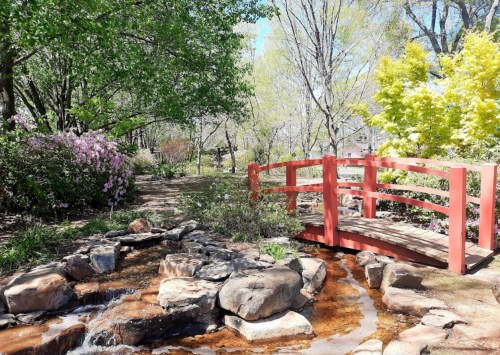 A serene garden scene featuring a red bridge over a small stream, surrounded by lush greenery and blooming flowers.
