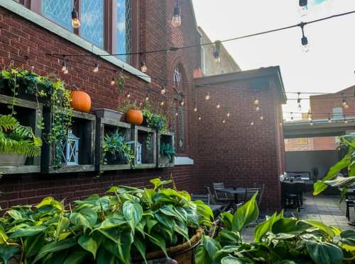A cozy outdoor patio with string lights, potted plants, and pumpkins against a brick wall.