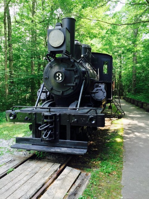 A vintage black steam locomotive on a wooden track, surrounded by lush green trees in a forested area.