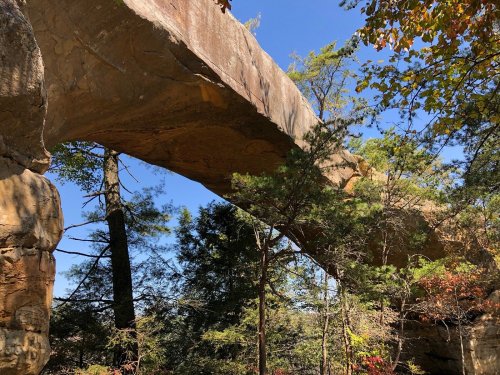 A natural stone arch surrounded by trees and blue sky, showcasing a scenic outdoor landscape.