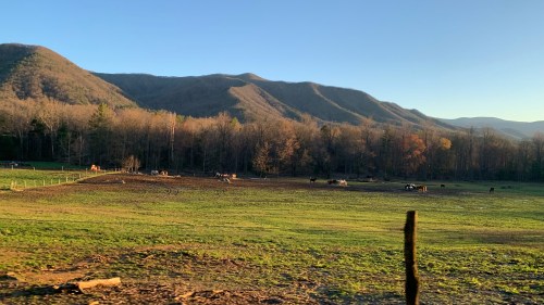 A serene landscape featuring a grassy field with horses, surrounded by mountains and trees under a clear blue sky.
