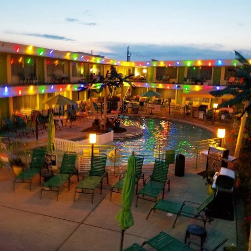 A colorful pool area with green lounge chairs, palm trees, and festive lights at dusk.