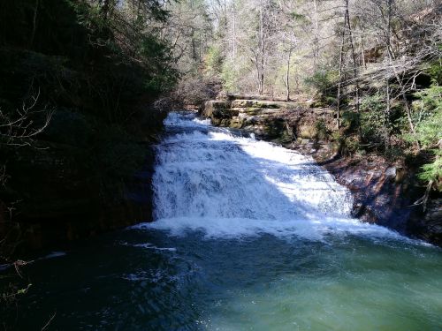 A serene waterfall cascades over rocks into a clear pool, surrounded by lush greenery and trees.