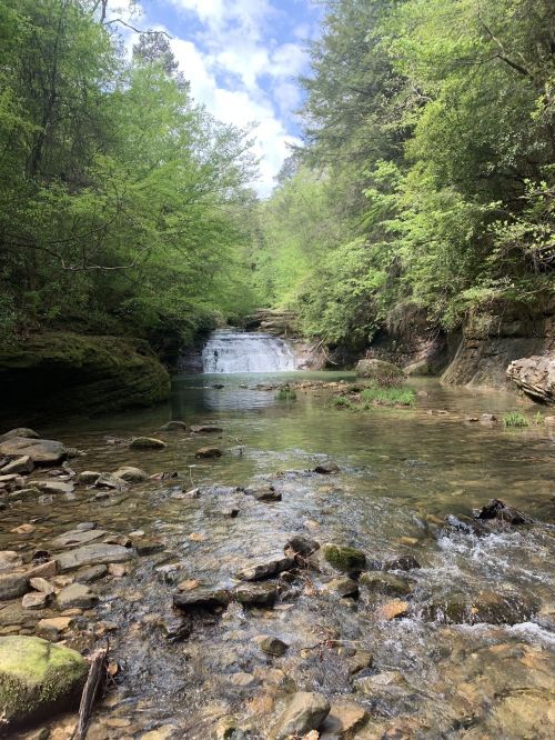 A serene waterfall cascades into a clear stream, surrounded by lush green trees and rocky terrain under a blue sky.