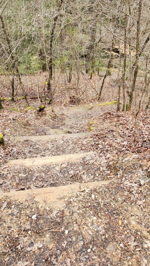 A winding dirt path with wooden steps leads down through a forest of bare trees and fallen leaves.