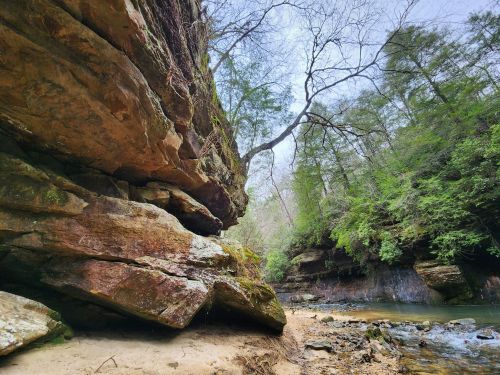 A serene landscape featuring rocky cliffs, lush greenery, and a calm stream flowing through a forested area.