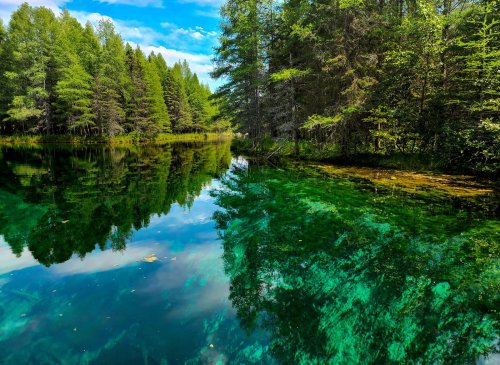 A serene lake surrounded by lush green trees, reflecting the vibrant blue sky and colorful underwater vegetation.