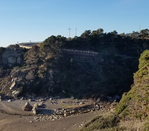 A coastal landscape featuring a rocky cliff, trees, and a road above, with a beach visible below.