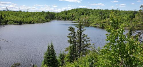A serene lake surrounded by lush green trees under a clear blue sky with scattered clouds.