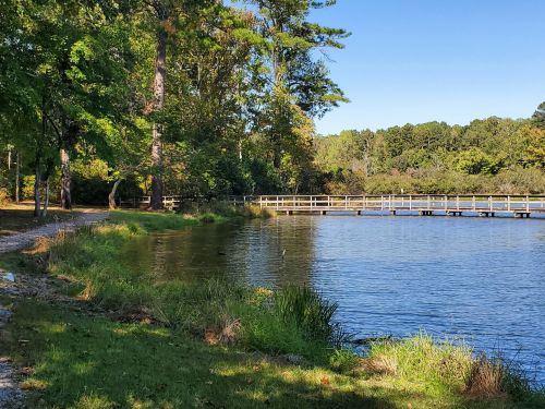A serene lakeside scene with a wooden bridge, surrounded by trees and lush greenery under a clear blue sky.