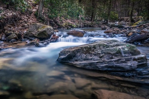 A serene stream flows over smooth rocks, surrounded by lush greenery and trees in a tranquil forest setting.