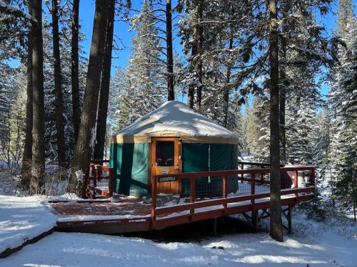A cozy yurt on a wooden deck surrounded by snow-covered trees in a winter landscape.
