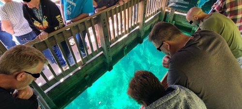 A group of people leaning over a wooden railing, looking into clear water below.