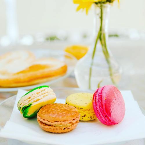A plate with colorful macarons in green, yellow, pink, and orange, with a vase of flowers in the background.