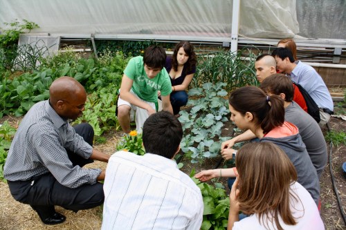 A group of diverse people gathers around a garden, learning about plants from a man in a striped shirt.