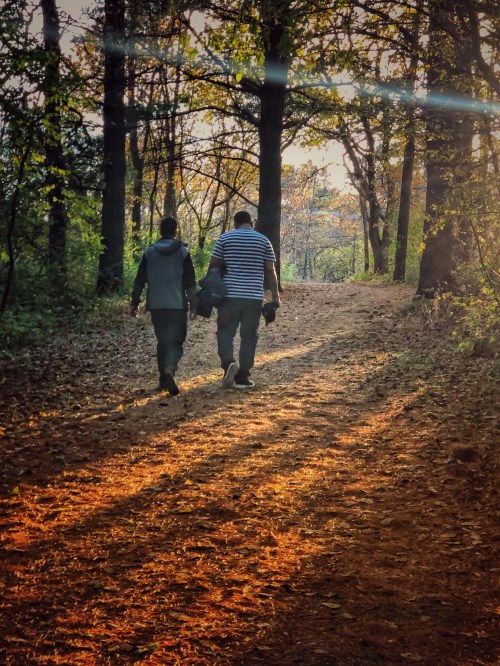 Two people walk hand in hand along a sunlit forest path, surrounded by trees and autumn foliage.
