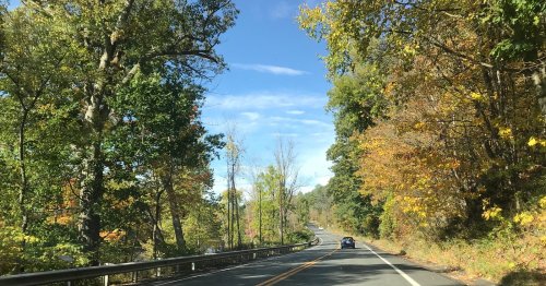 A scenic road winds through trees with autumn foliage under a clear blue sky. A car drives along the route.