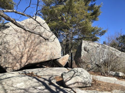 Large boulders surrounded by trees and blue sky, with shadows cast on the rocky ground.