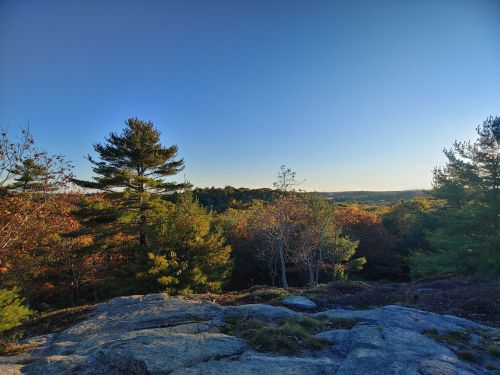 A scenic view of a forested landscape with colorful autumn foliage under a clear blue sky.