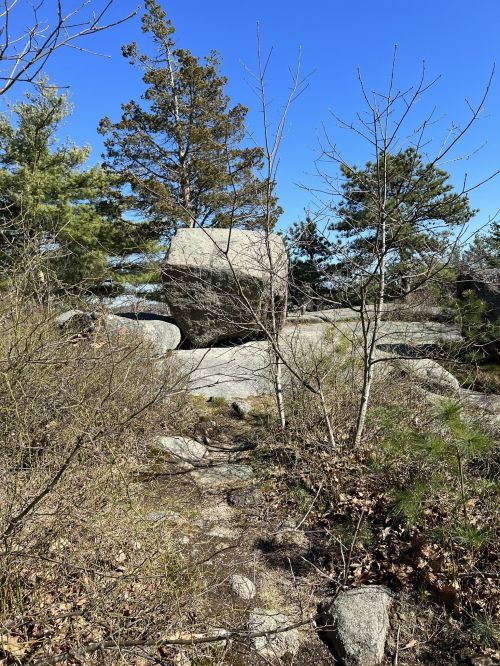 A large boulder surrounded by sparse trees and shrubs under a clear blue sky.