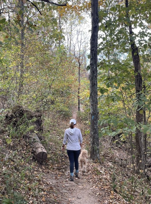 A person walks a dog along a wooded trail surrounded by autumn foliage.