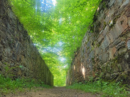 A narrow path lined with stone walls, surrounded by lush green trees and dappled sunlight filtering through the leaves.