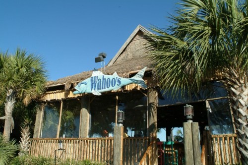 Exterior of Wahoo's restaurant with a thatched roof, palm trees, and a large sign featuring a fish. Clear blue sky.