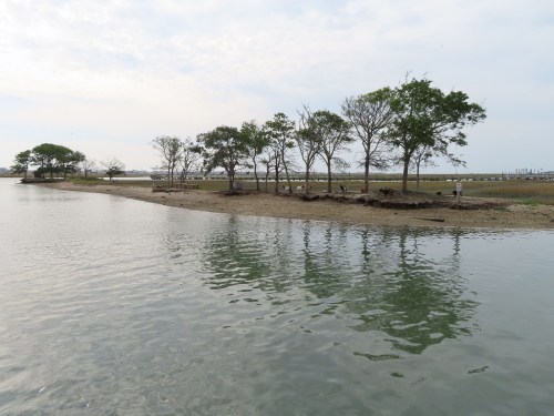 A calm water scene with a shoreline lined by trees and a person standing near the water's edge.