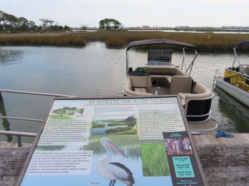A dock with a sign about the salt marsh, overlooking calm water and a boat, surrounded by marshland and trees.