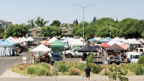A bustling outdoor market with colorful tents and vendors, surrounded by greenery and clear blue skies.