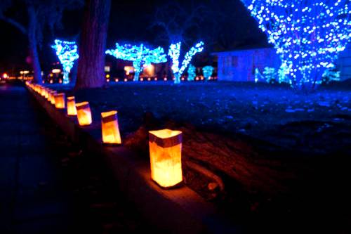 A nighttime scene featuring glowing lanterns along a path, with trees adorned in blue lights.