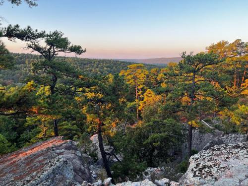 A scenic view of a forested landscape with rocky outcrops and trees bathed in warm sunlight during sunset.