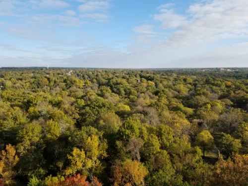 A panoramic view of a lush, green landscape with trees and a blue sky dotted with clouds.