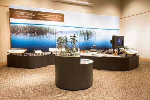 Exhibit display featuring a diorama, informational panels, and a monitor about the world's largest peatland.