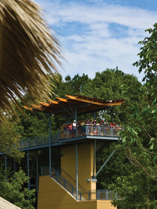 A viewing platform surrounded by trees, with people enjoying the view under a blue sky.