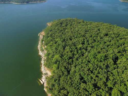 Aerial view of a lush green forested area meeting a calm lake, with rocky shoreline and clear blue water.