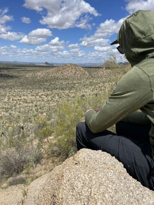 A person in a green hoodie sits on a rock, overlooking a vast desert landscape with cacti and distant mountains.