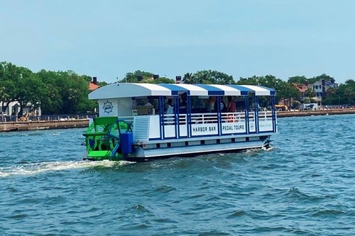A pedal-powered boat with a blue and white canopy cruising on a calm waterway, surrounded by greenery.