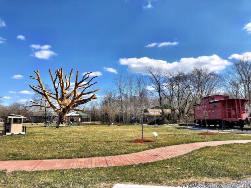 A large, bare tree stands in a grassy area with a red train car nearby, under a blue sky with scattered clouds.