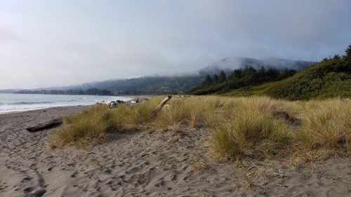 A sandy beach with tall grass, gentle waves, and a misty hillside in the background under a cloudy sky.