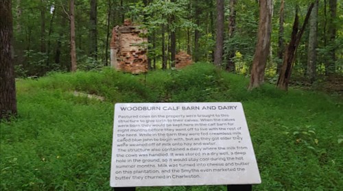 Ruins of Woodburn Calf Barn and Dairy in a forest, with an informational sign about its history and use.