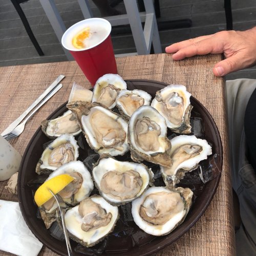 A plate of fresh oysters with a lemon wedge, accompanied by a red cup, on a wooden table.