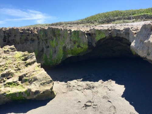 A rocky formation with green moss, set against a sandy beach and clear blue sky.