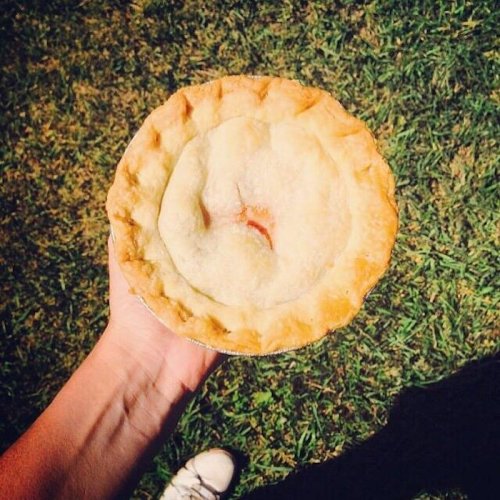 A hand holding a freshly baked pie with a golden crust, set against a grassy background.
